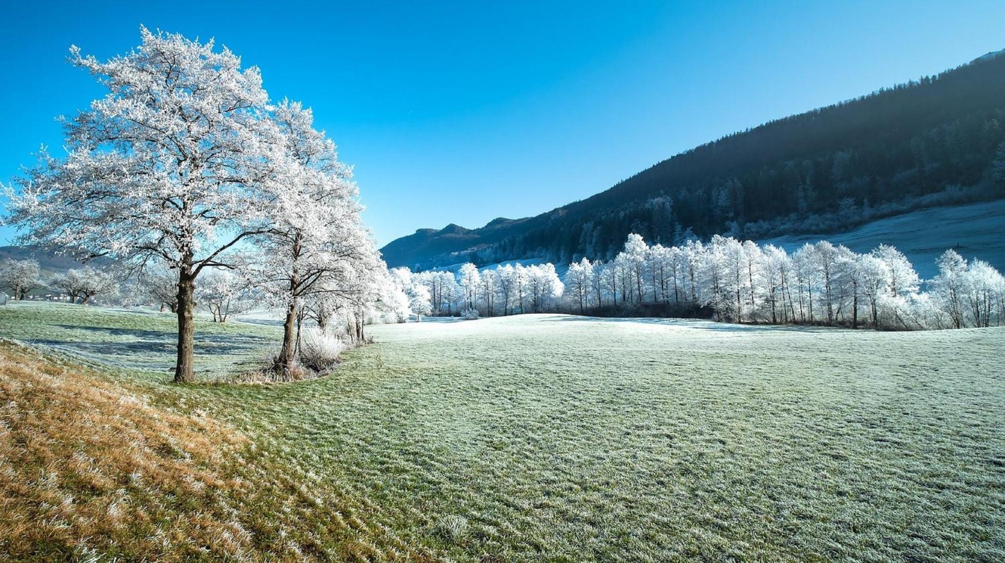 Alpen Appartement วินเทอร์แบร์ก ภายนอก รูปภาพ